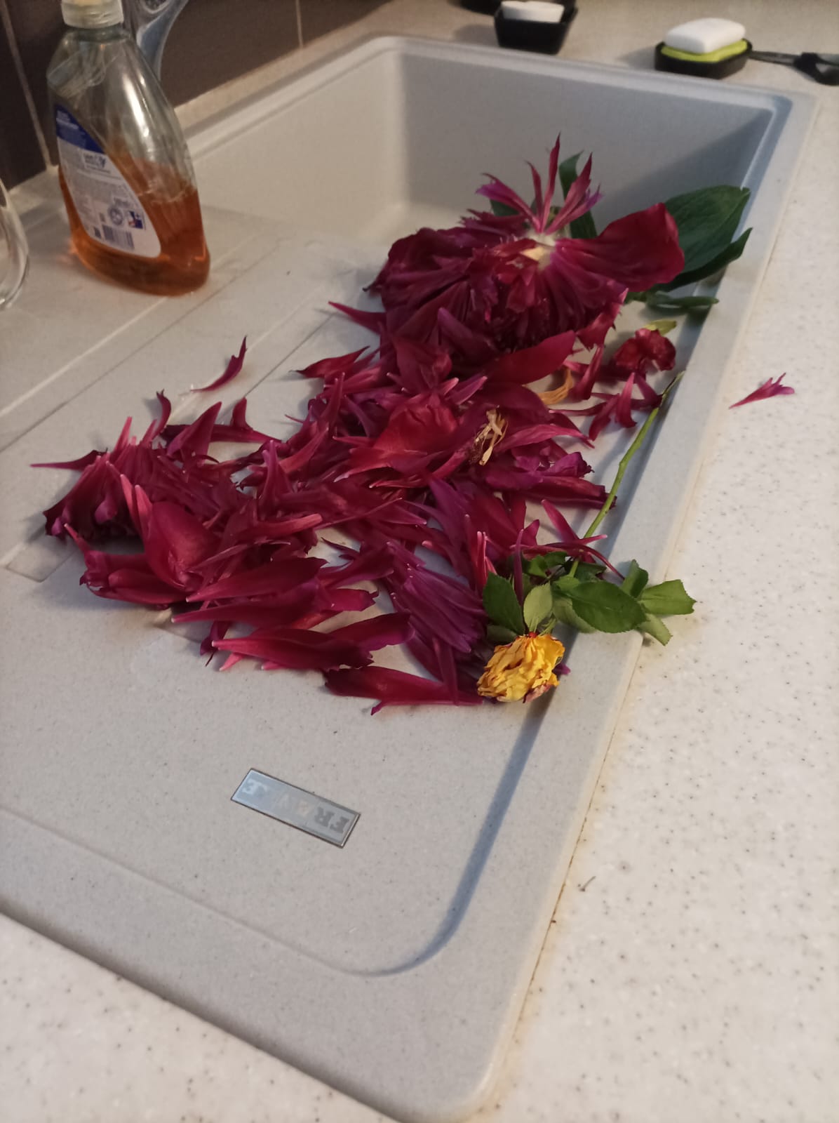 Photo n° 3 de l'avis de Aperol.p fait le 06/06/2023 à 09:20