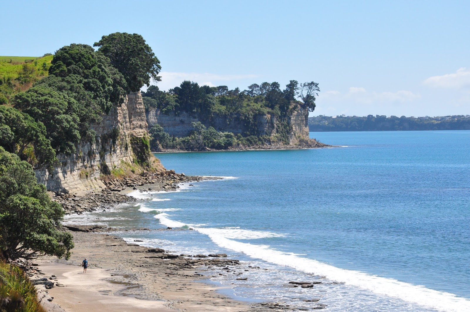 Foto de Long Bay Beach - bom local amigável para animais de estimação para férias