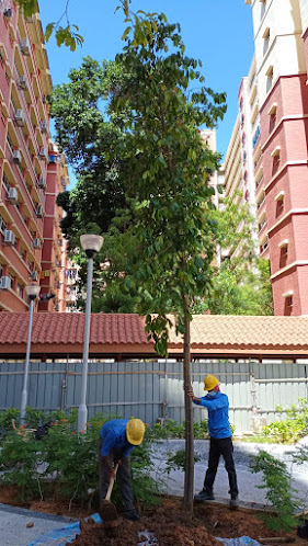Reviews of khai zhen landscape pte ltd - Singapore - Architect