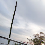 Photo n°5 de l'avis de Annamaria. fait le 04/06/2023 à 14:28 sur le  Sa Cadrea à Santa Maria Navarrese