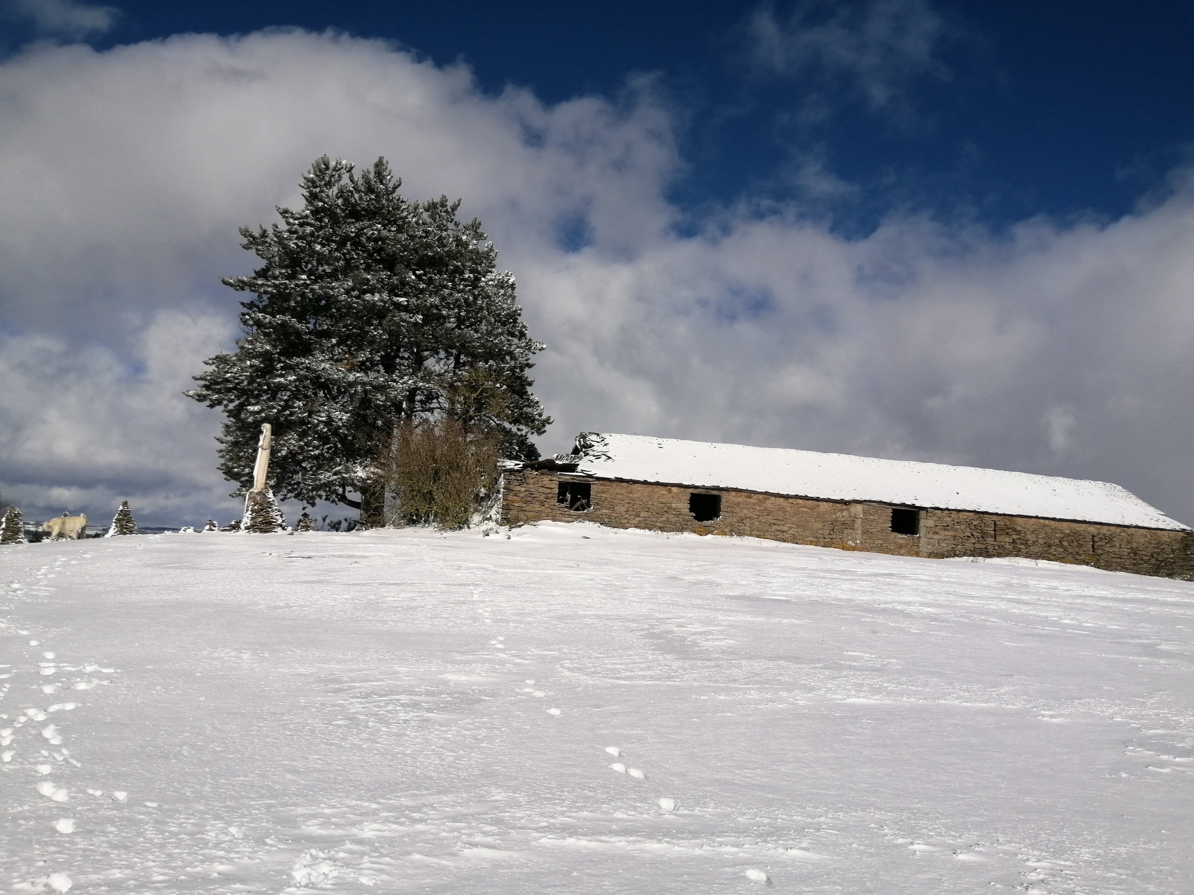 Photo n° 8 de l'avis de oriane.r fait le 18/01/2023 à 14:57