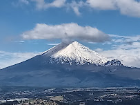 ESEN Translation Services - Photo 2 - Car repair in Brooklyn, NY, New York