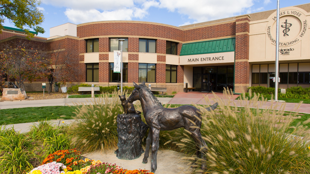 Colorado State University Veterinary Teaching Hospital