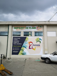 Flower Depo