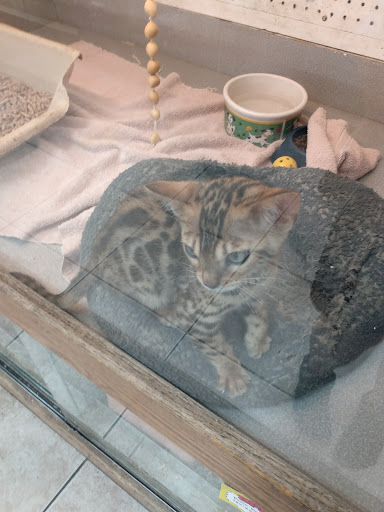 Pet Store «Animal Ark Pet Stores», reviews and photos, 33 Center St, Orem, UT 84057, USA