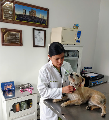 Clínica veterinaria Pet & Health