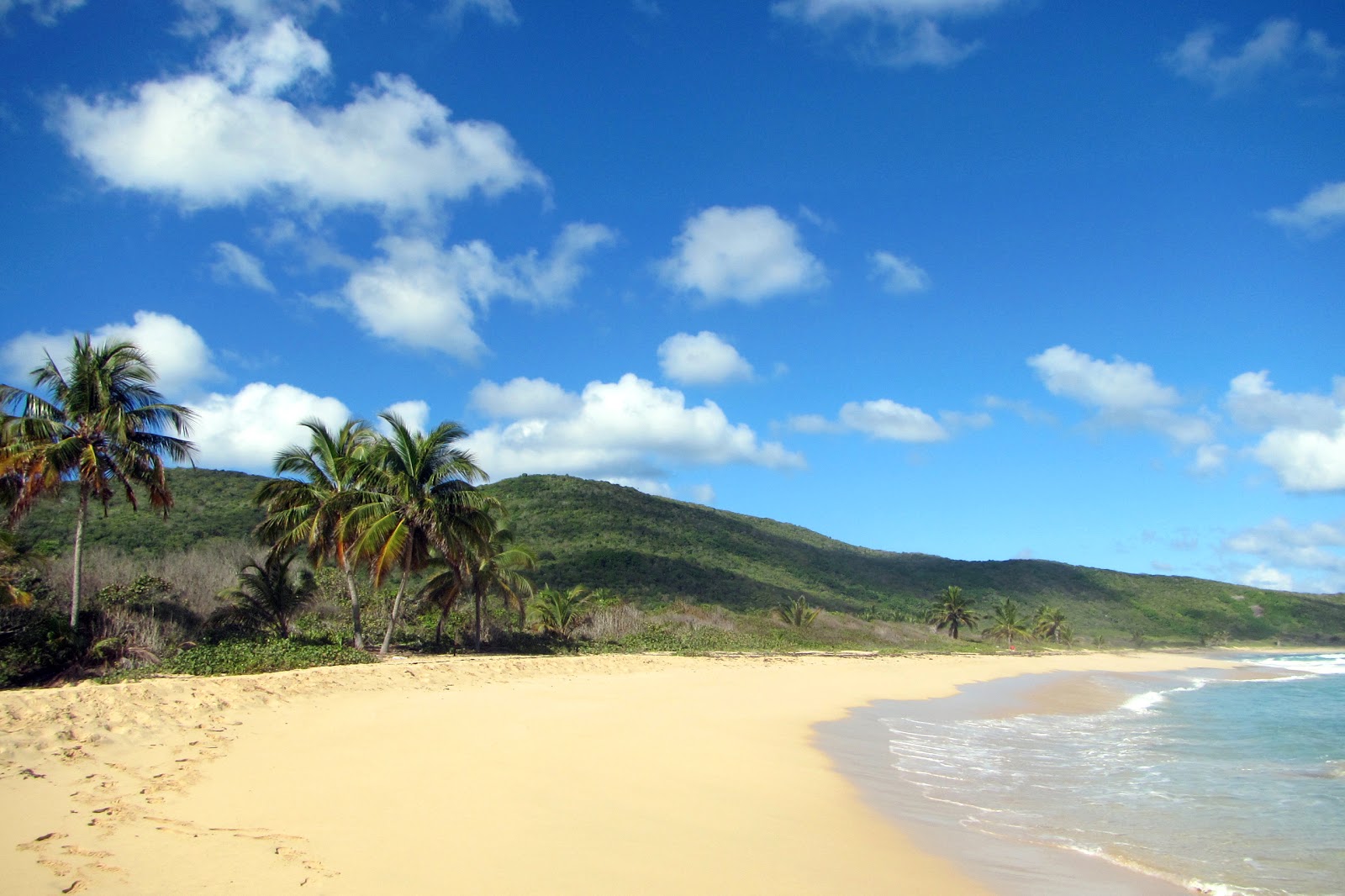 Fotografija Playa Brava z svetel pesek površino