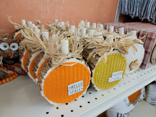 Discount Store «Big Lots», reviews and photos, 924 N Main St, Suffolk, VA 23434, USA