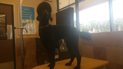 Pet Supply Store «PetSmart», reviews and photos, 6370 W Indiantown Rd, Jupiter, FL 33458, USA