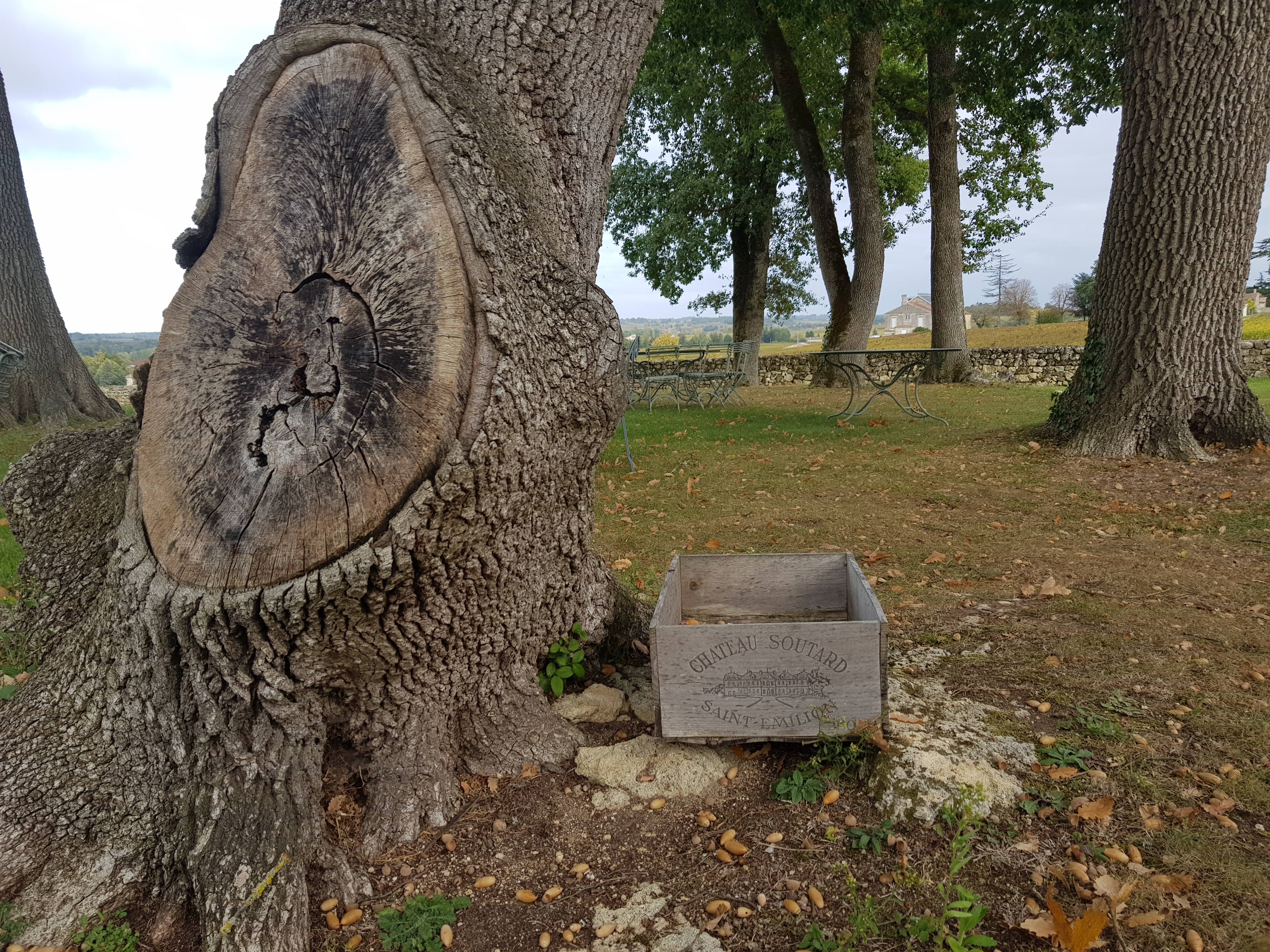 Photo n° 5 de l'avis de Ioannis.a fait le 22/10/2017 à 19:36
