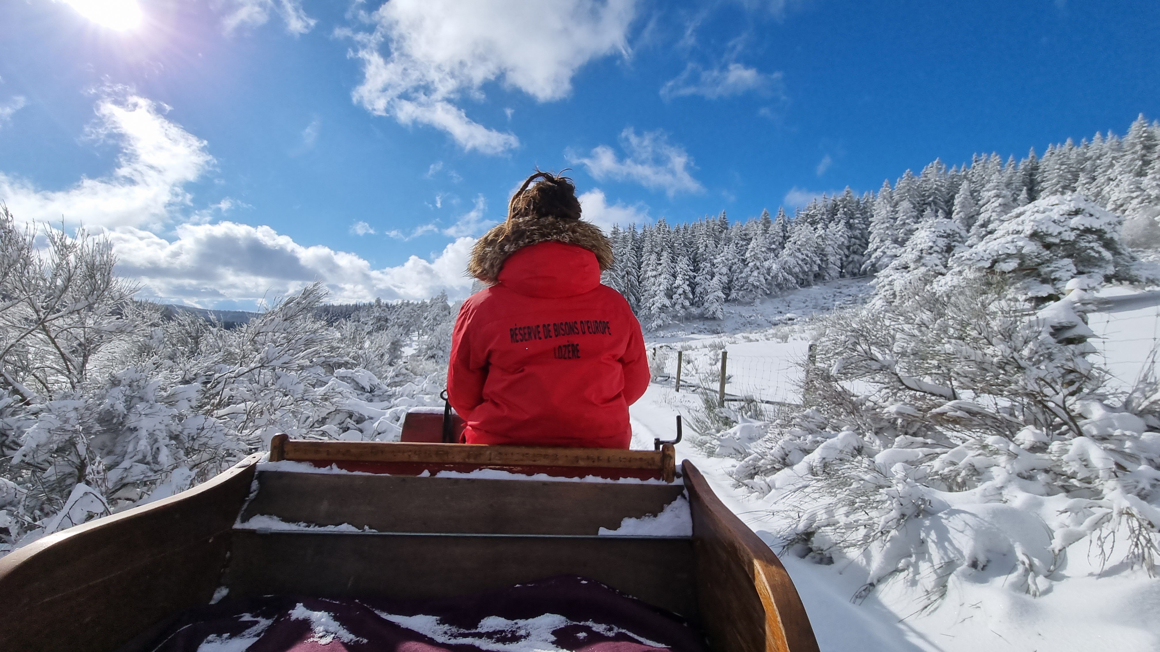 Photo n° 1 de l'avis de qntin. fait le 20/01/2023 à 13:20