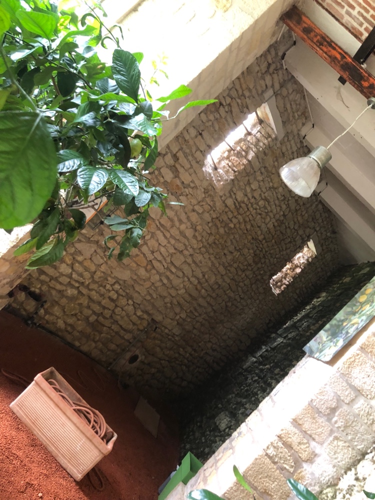 Photo n° 3 de l'avis de G.r fait le 22/08/2021 à 21:03