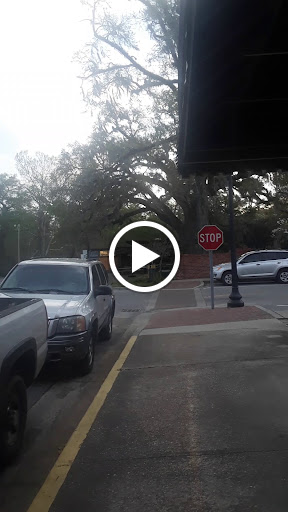 Florist «Encore Florals & Gifts», reviews and photos, 225 Kingston St, Conway, SC 29526, USA