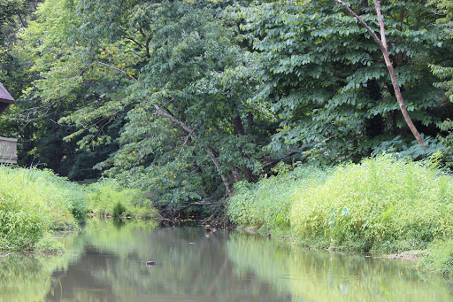 Nature Preserve «Blue Heron Nature Preserve», reviews and photos, 4055 Roswell Rd NE, Atlanta, GA 30342, USA