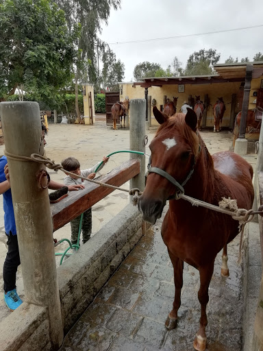 Sitios donde montar caballo Lima