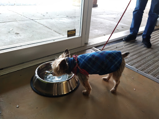 Pet Supply Store «Pet Supplies Plus», reviews and photos, 11054 Lee Hwy, Fairfax, VA 22030, USA