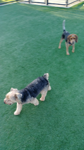 Park «Newbridge Rd Park», reviews and photos, 2600 Newbridge Rd, Bellmore, NY 11710, USA