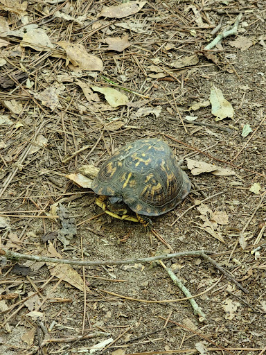 Nature Preserve «Forever Wild Trails», reviews and photos, 384 Narcisse Drive, Dothan, AL 36305, USA