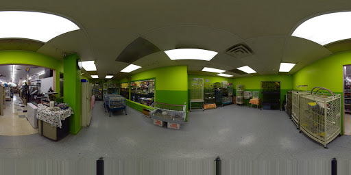 Pet Store «Coral Reef Pet Center», reviews and photos, 7723 W Lawrence Ave, Norridge, IL 60706, USA