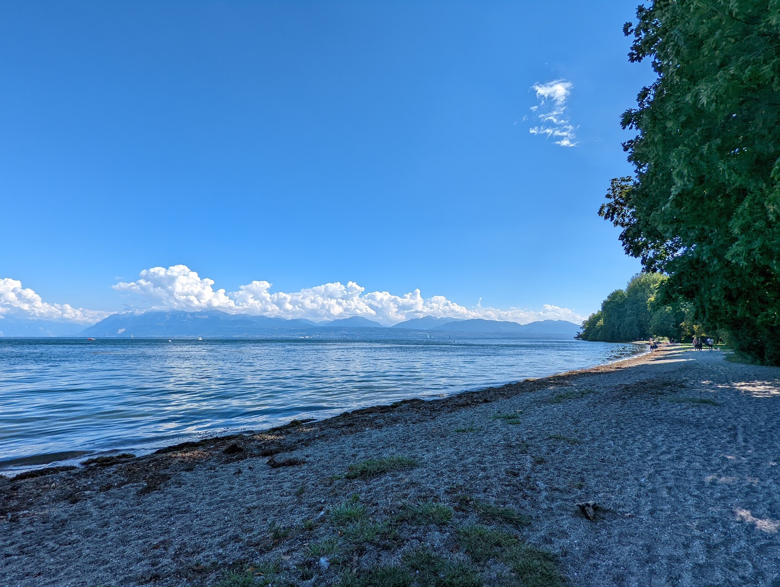 Plage du Stand'in fotoğrafı - rahatlamayı sevenler arasında popüler bir yer