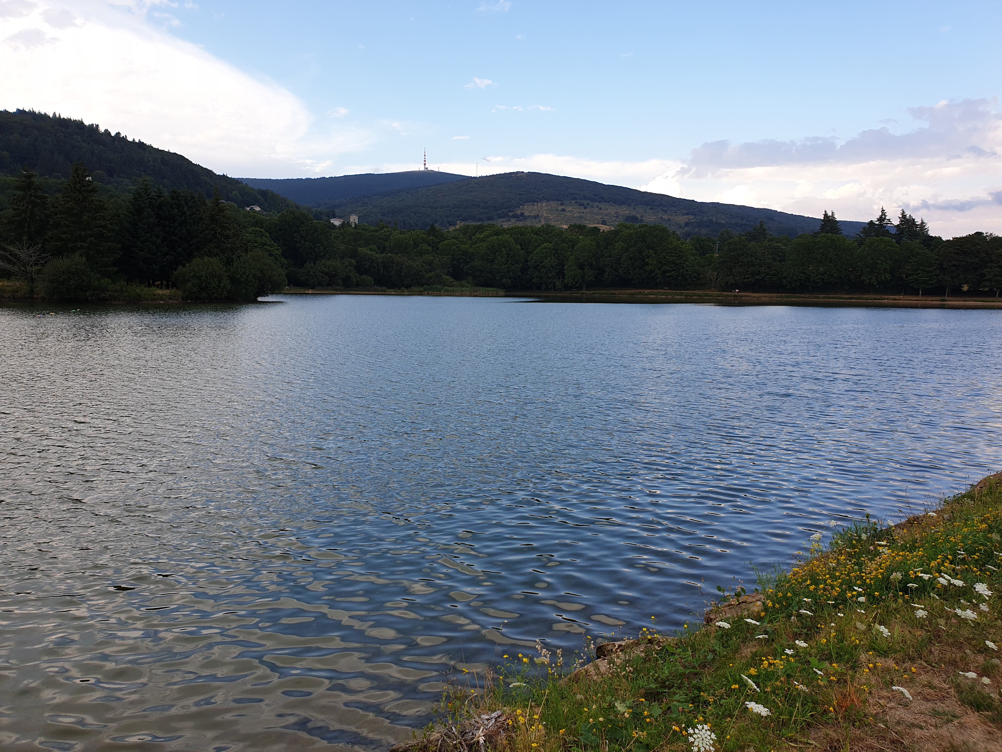 Photo n° 1 de l'avis de Bernard.u fait le 12/08/2020 à 19:24