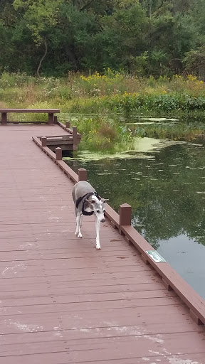 Park «Lippold Park - Fox Valley Park District», reviews and photos, 2001 S River St, Batavia, IL 60510, USA