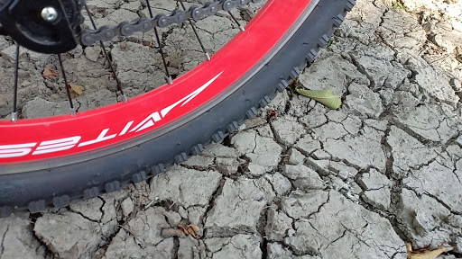 Nature Preserve «Forest Preserves of Cook County», reviews and photos, 9460 S Dee Rd, Park Ridge, IL 60068, USA