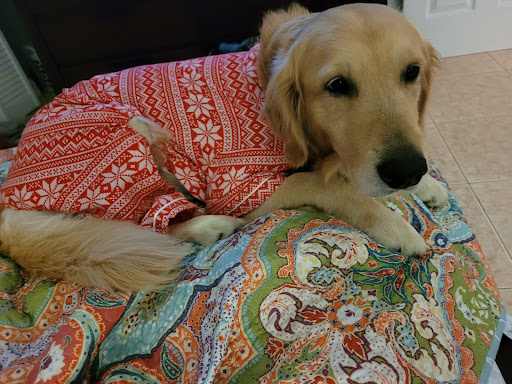 Pet Supply Store «PetSmart», reviews and photos, 4151 Turtle Creek Dr, Coral Springs, FL 33067, USA