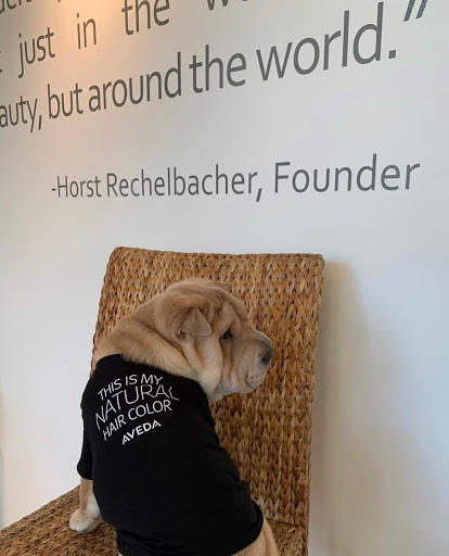 Hair Salon «Von Kekel Aveda Lifestyle Salon Spa», reviews and photos, 4209 Lassiter Mill Rd #114, Raleigh, NC 27609, USA