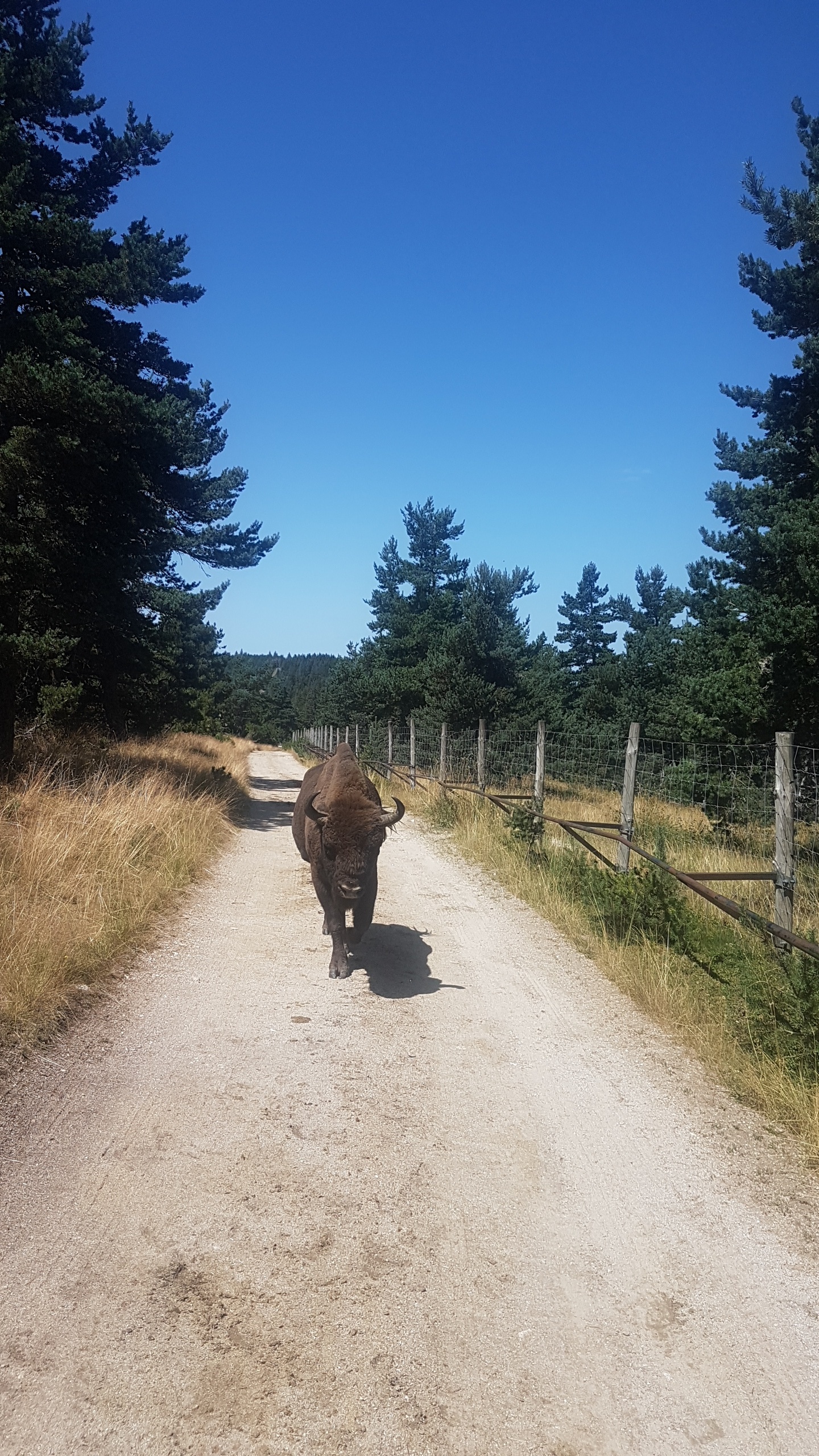 Photo n° 1 de l'avis de Delphine.u fait le 26/08/2020 à 10:24