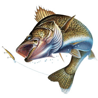 Fish Farm «Imlay City Fish Farms Inc», reviews and photos, 1442 N Summers Rd, Imlay City, MI 48444, USA