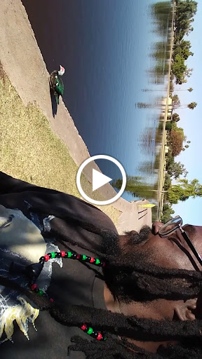 Park «Cesar Chavez Park», reviews and photos, 7858 S 35th Ave, Laveen Village, AZ 85339, USA