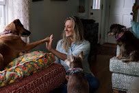 Lizzy and the Good Dog People - Photo 2 - Car repair in , Worcester