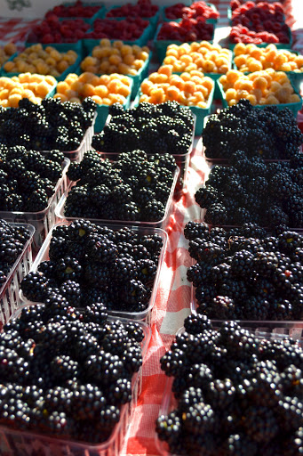 Ice Cream Shop «Nicecream», reviews and photos, 2831 Clarendon Blvd, Arlington, VA 22201, USA