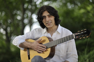 Olivier Mesnier - Guitare à Avallon