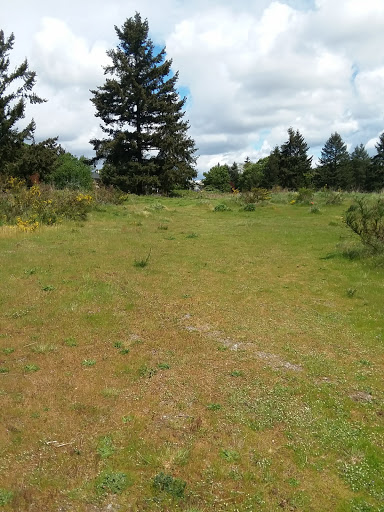 Golf Course «Fort Steilacoom Golf Course», reviews and photos, 8202 87th Ave SW, Lakewood, WA 98499, USA