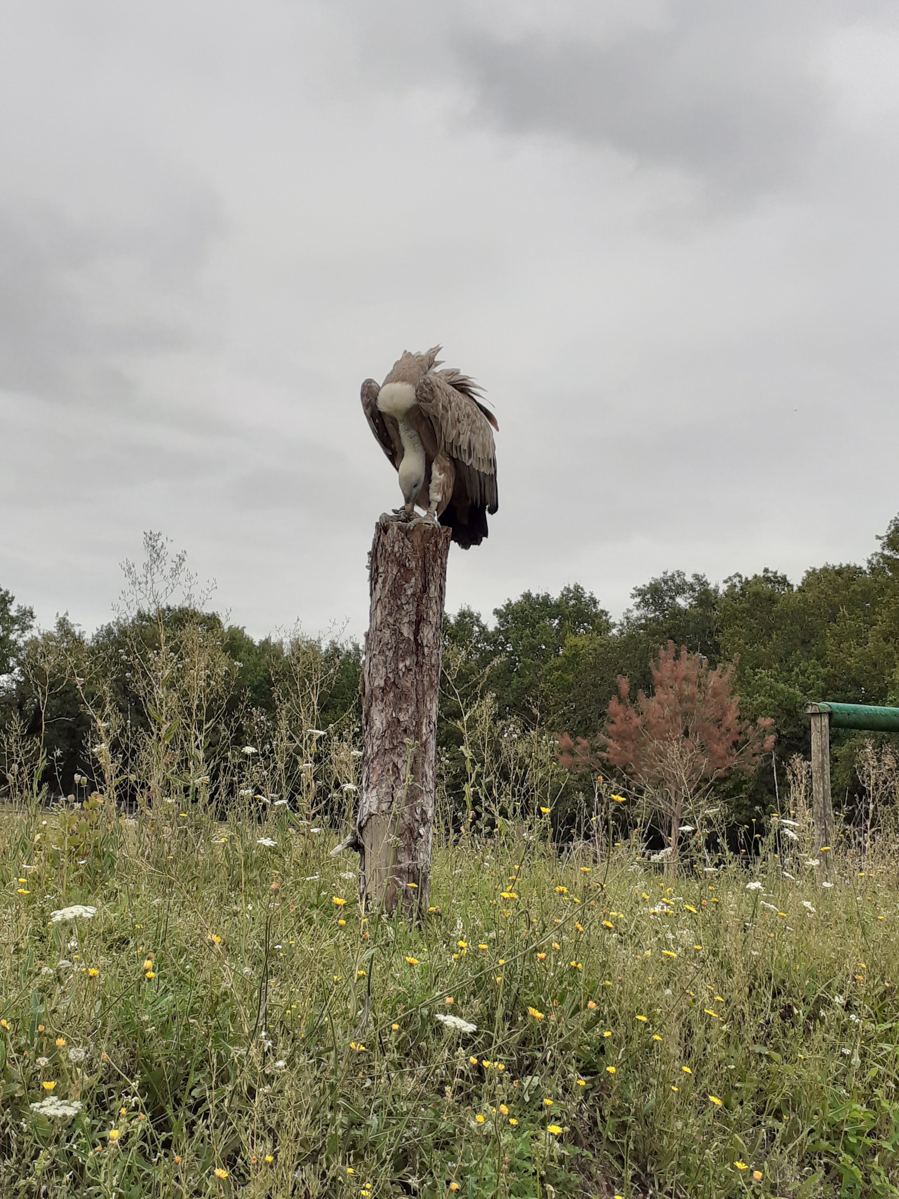 Photo n° 3 de l'avis de charlotte.a fait le 18/08/2021 à 17:39