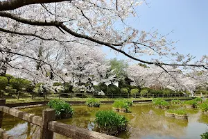 Shiroyama Park image