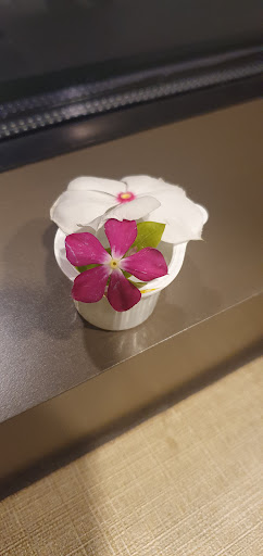 Hotel «Aliante Casino + Hotel + Spa», reviews and photos, 7300 Aliante Parkway, North Las Vegas, NV 89084, USA