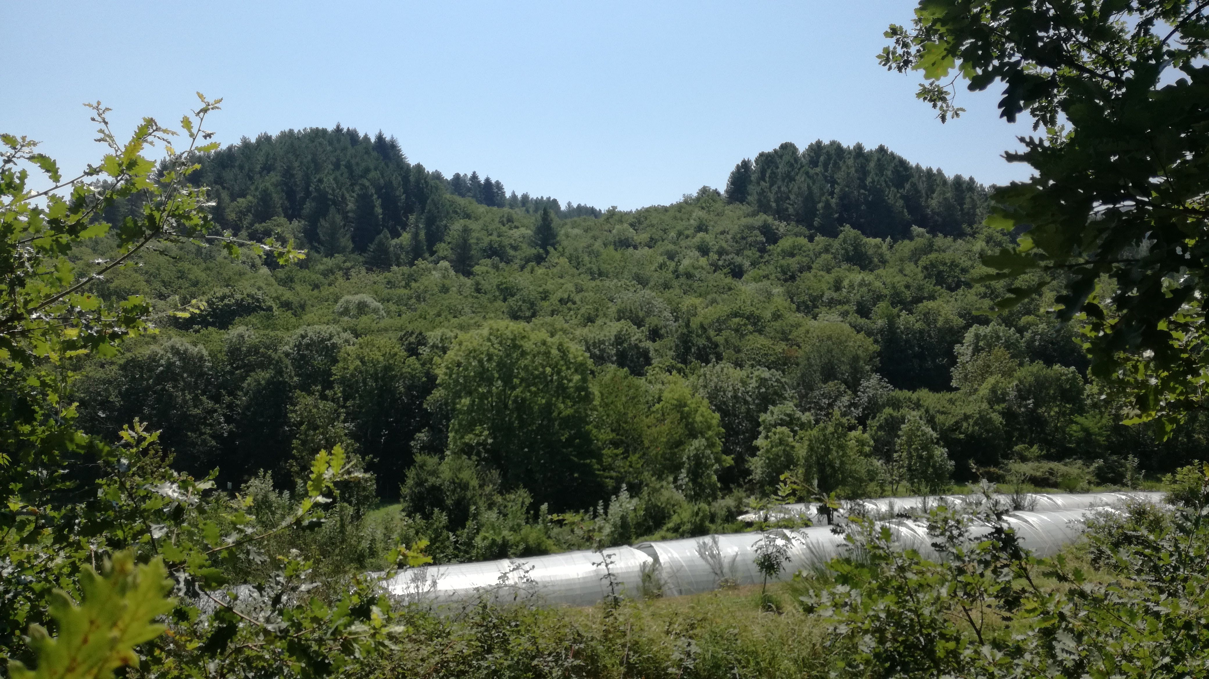 Photo n° 14 de l'avis de Thierry.i fait le 31/07/2018 à 12:45
