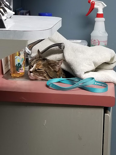 4081 Columbia Ave, Columbia, PA 17512, USA