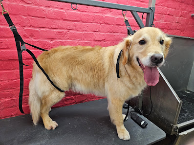 Trimsalon Sascha Vrijheidstraat 19, 8670 Koksijde, Belgique