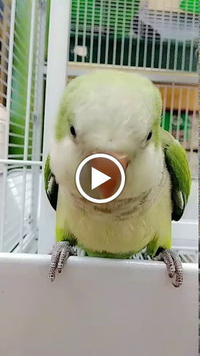 Pet Supply Store «CountryMax - Geneseo», reviews and photos, 4101 Lakeville Rd, Geneseo, NY 14454, USA