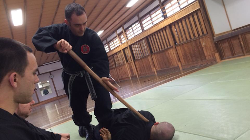 Kaeru Budokan