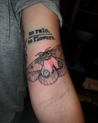 Explore ravenclaw tattoo ideas, creative tattoo ideas in Palm Harbor, available at Angry Owl Tattoo and Piercing