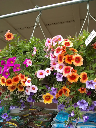 Hardware Store «Westlake Ace Hardware 109», reviews and photos, 550 US-175 Frontage Rd #108, Seagoville, TX 75159, USA