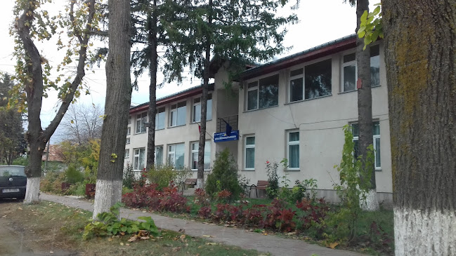 Şcoala Generală Ruginoasa