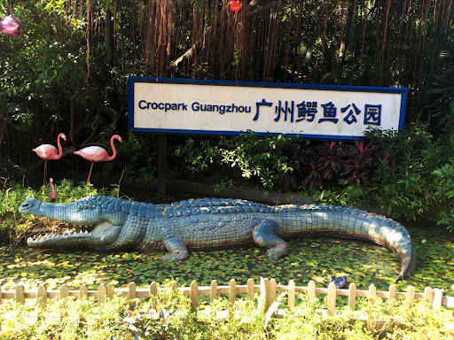 广州鳄鱼公园