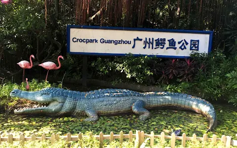 Guangzhou Crocodile Park image