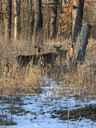 Nature Preserve «Thaddeus S. 